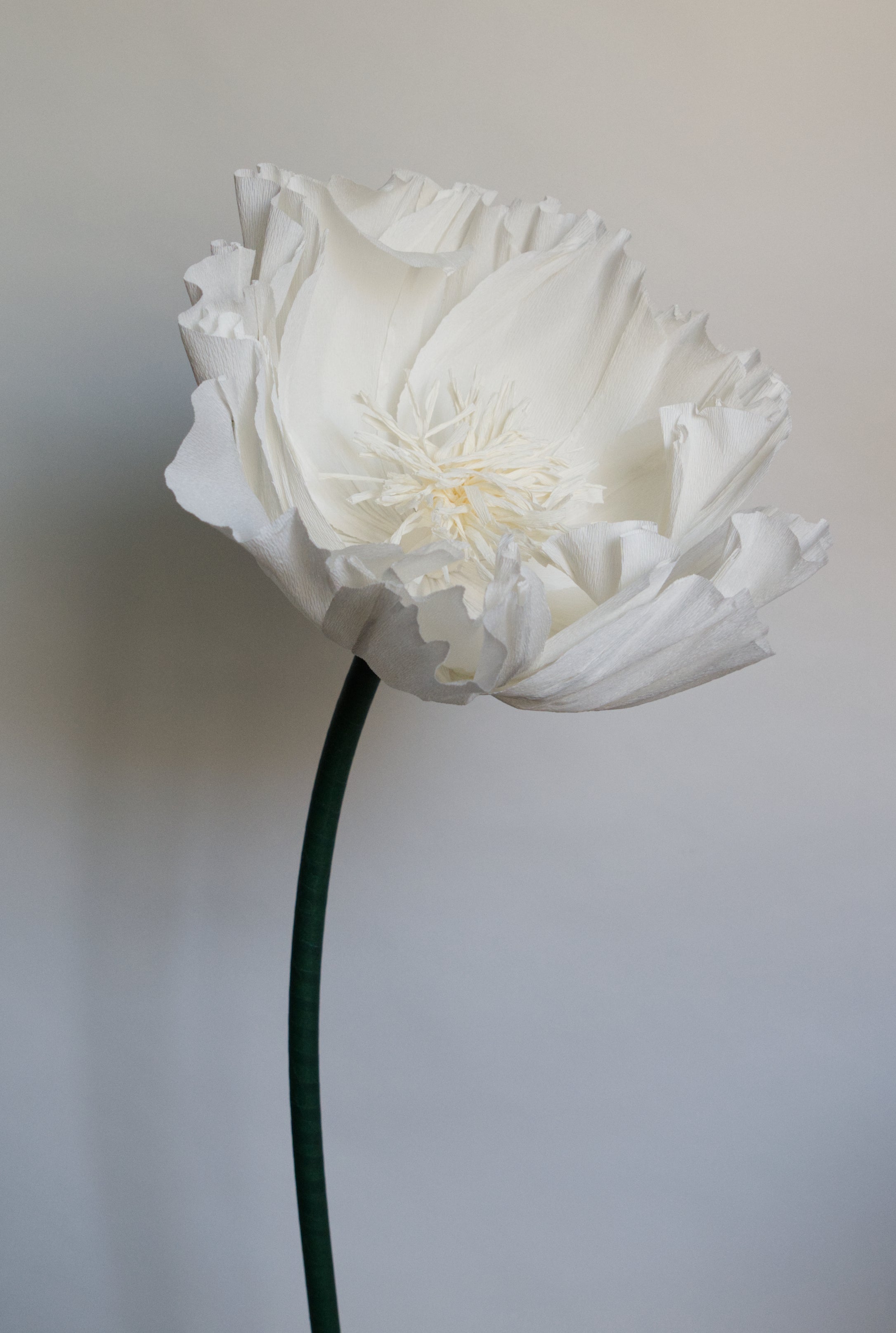 All White Tree Peony | Giant Paper Flower Rental Austin TX