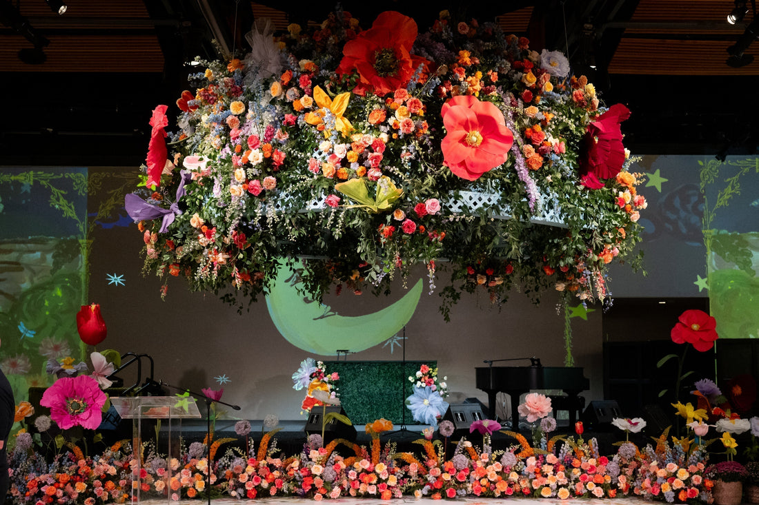 Chrysanthemum Ball 2025