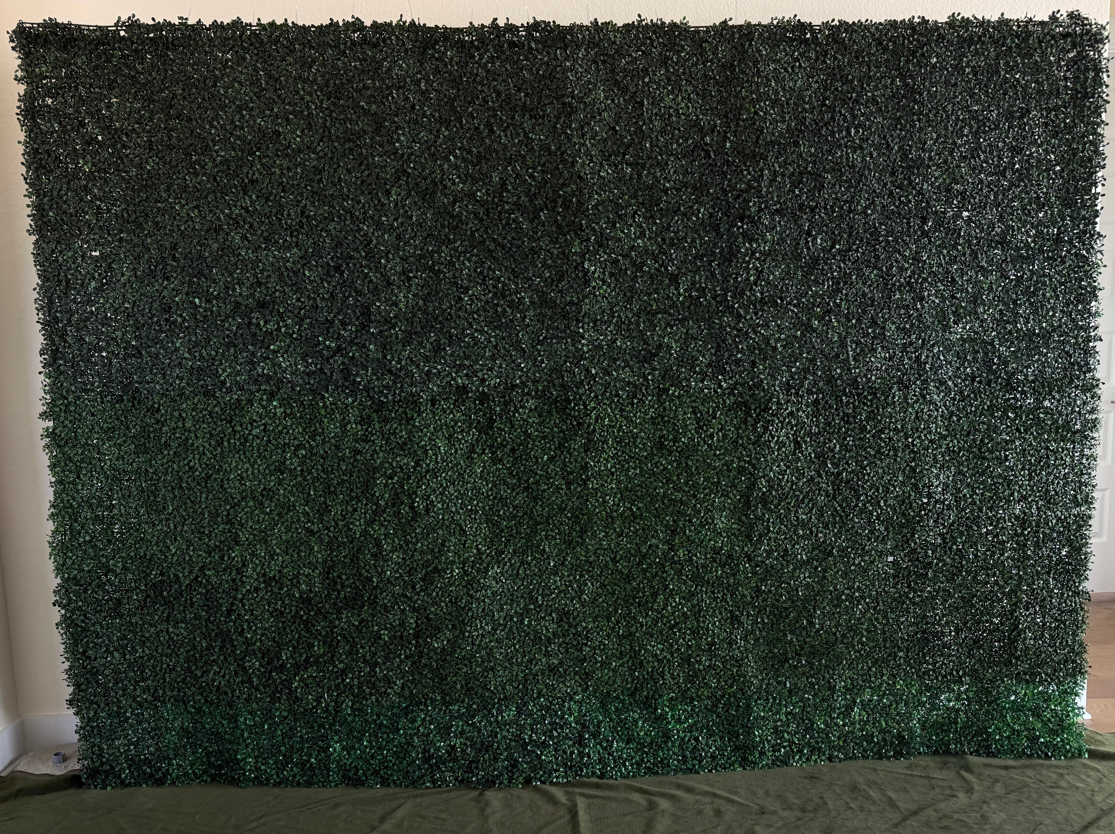 Boxwood Backdrop Rental