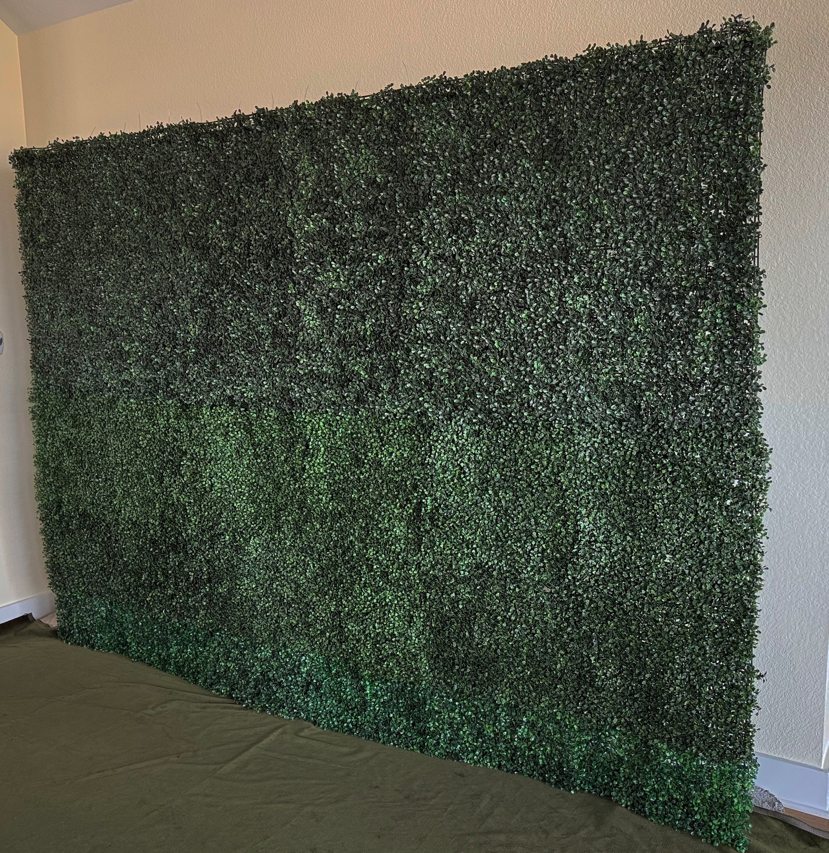 Boxwood Backdrop Rental