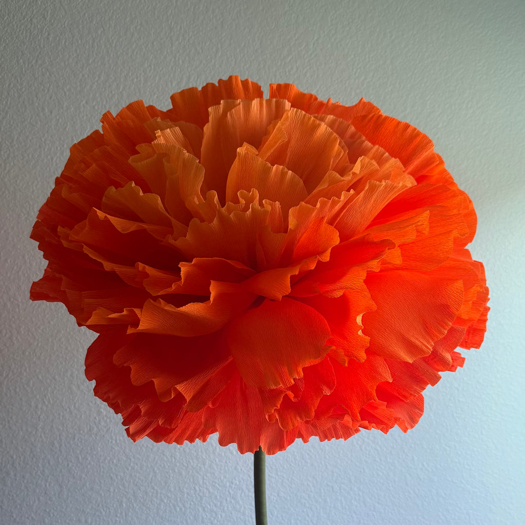Marigold Standing Flower Kit