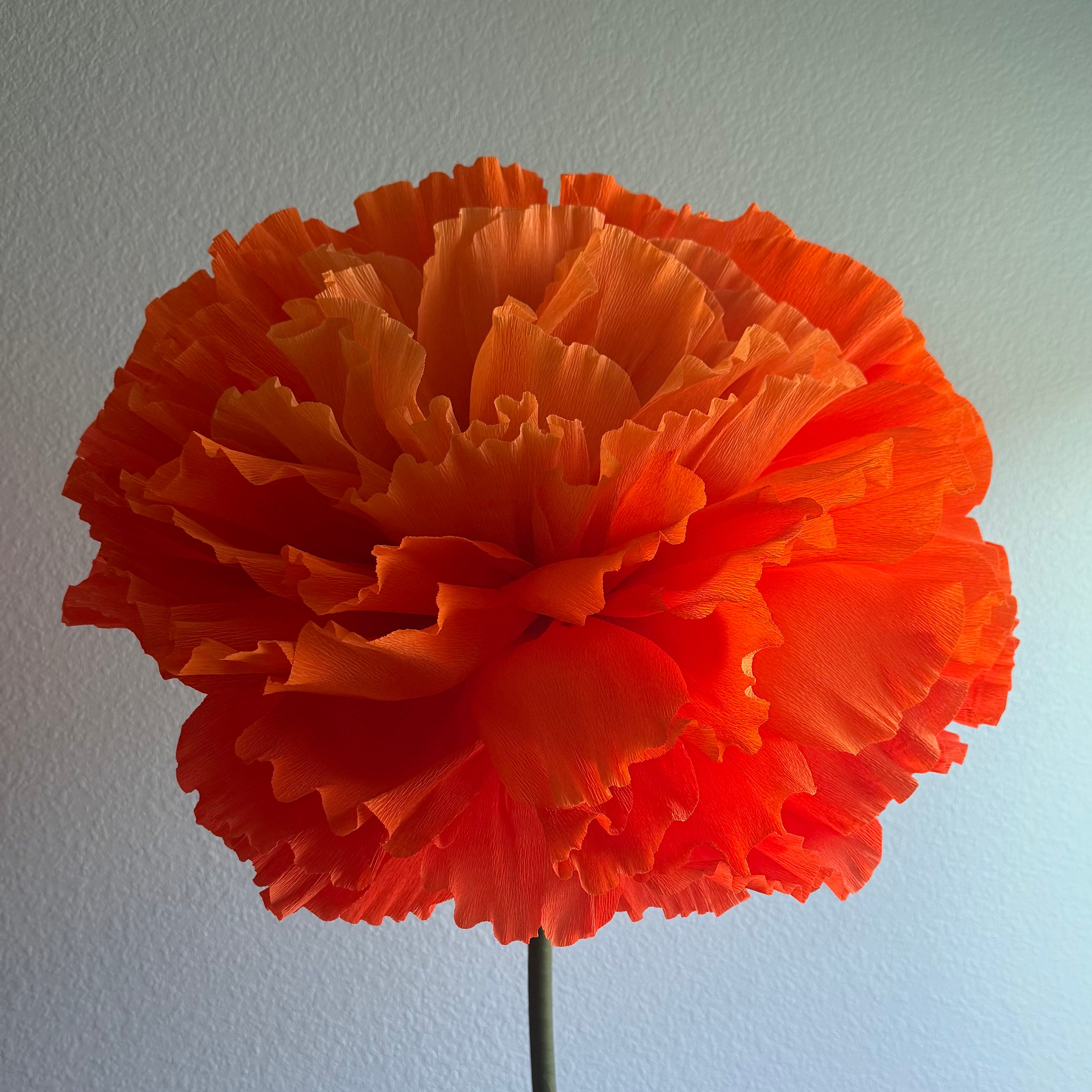Marigold Standing Flower Kit