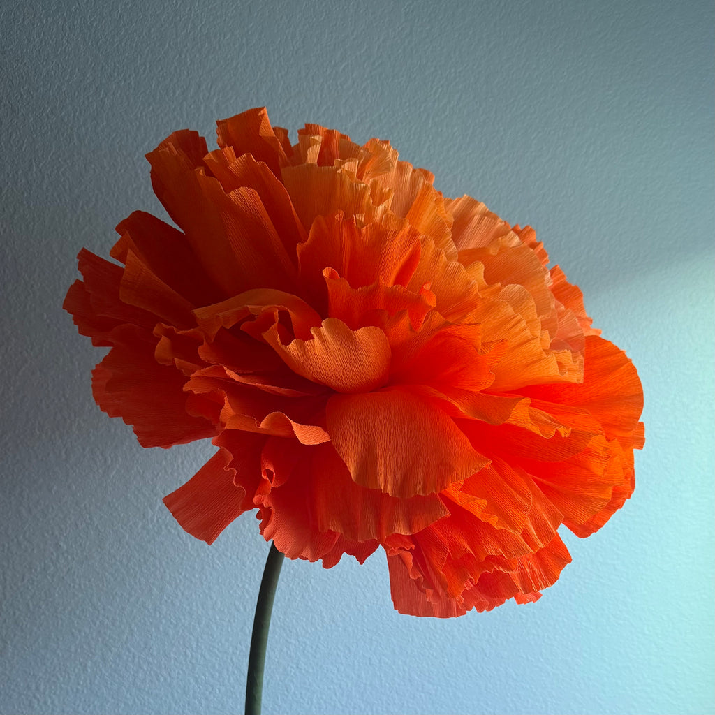 Marigold Standing Flower Kit