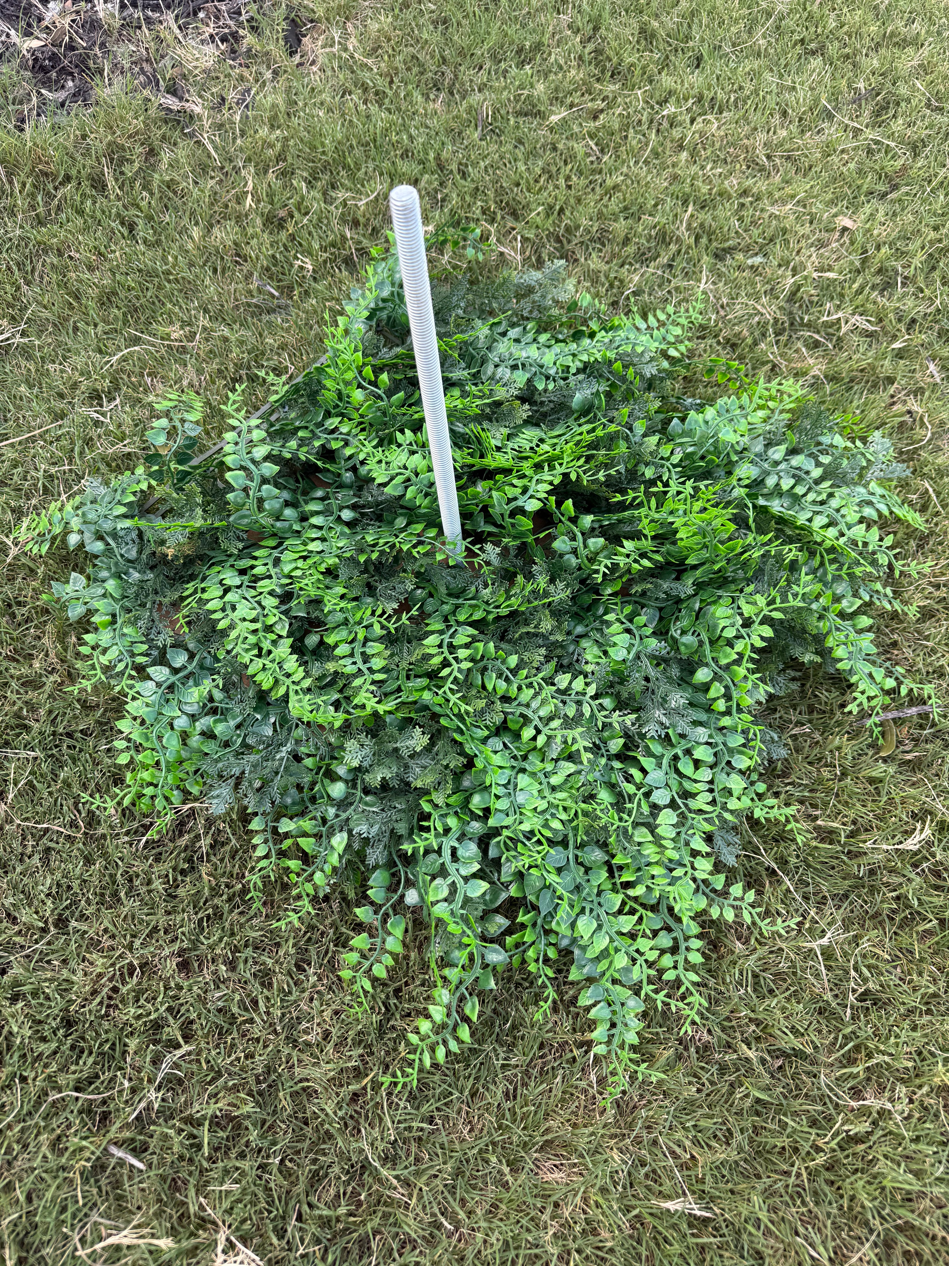 Single Stem Base