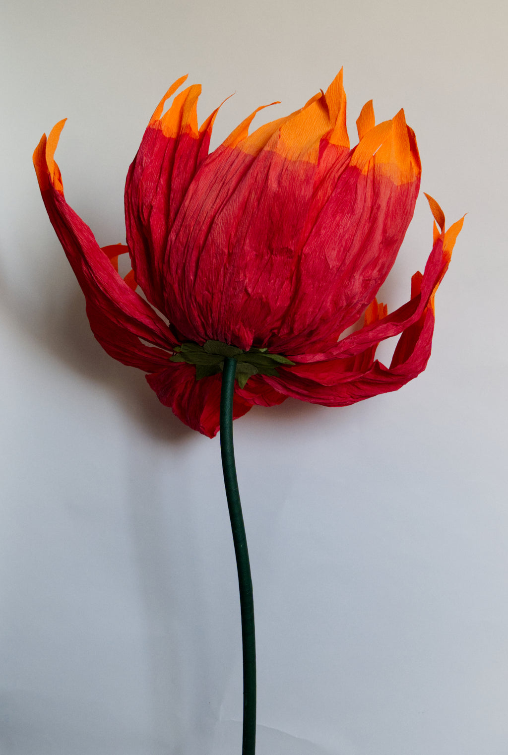 Firewheel (Large)