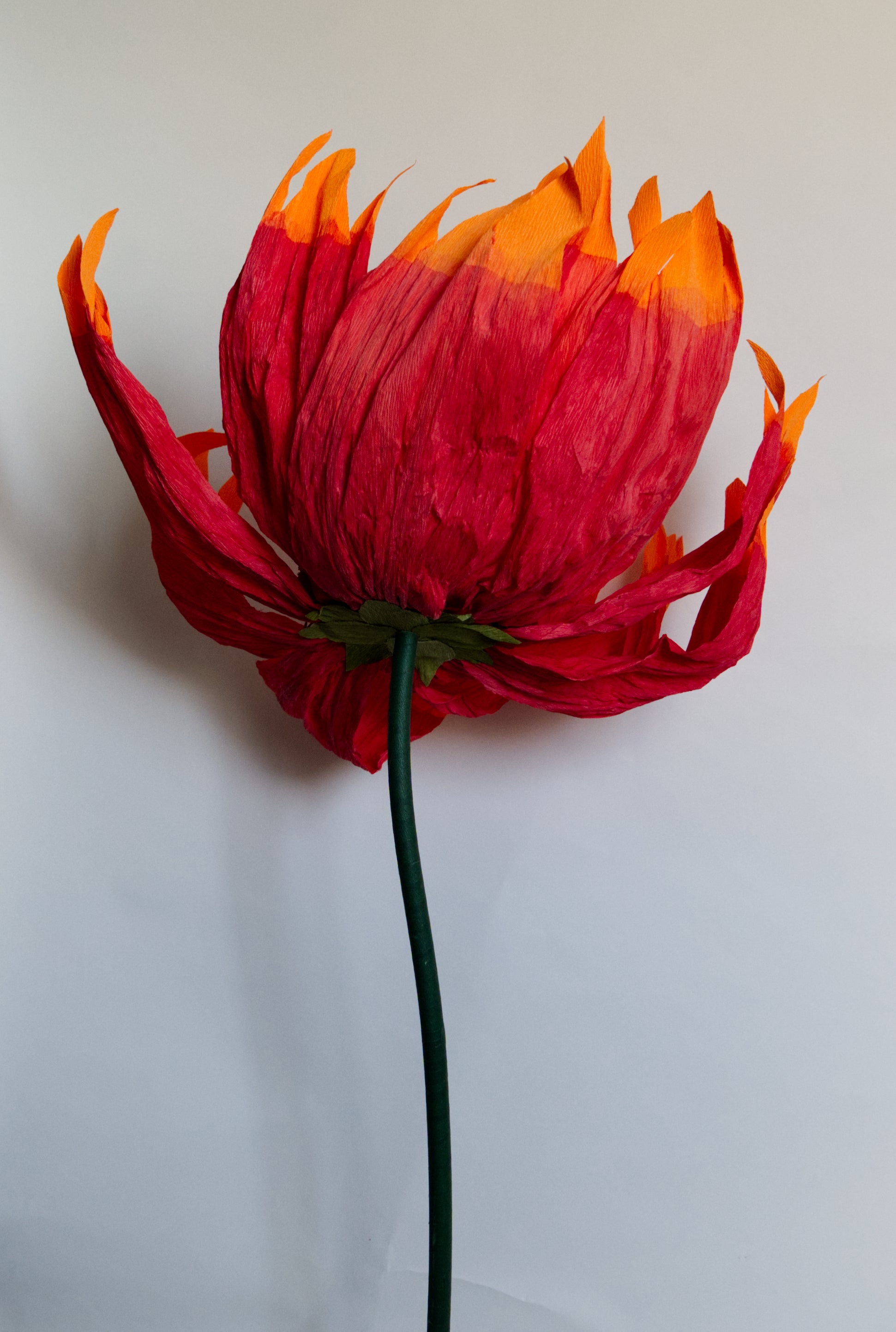 Firewheel (Large)