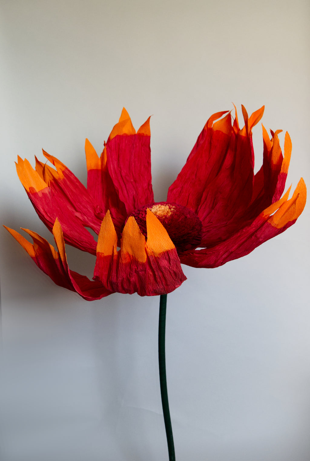 Firewheel (Large)