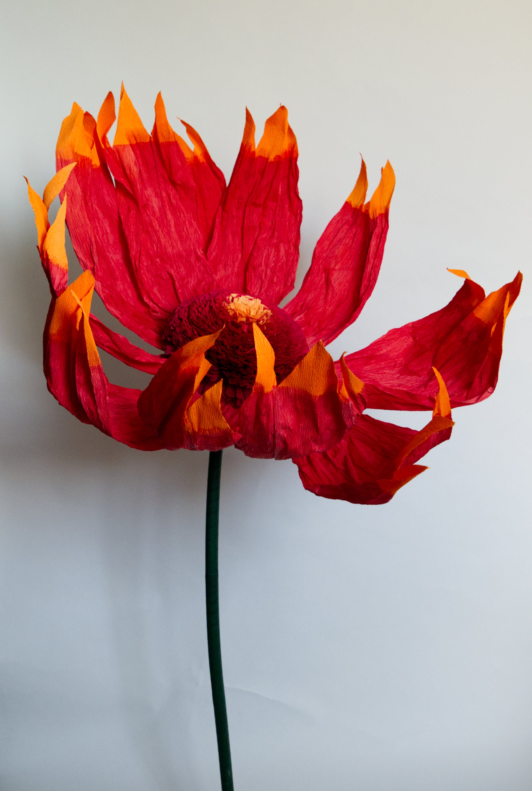 Firewheel (Large)