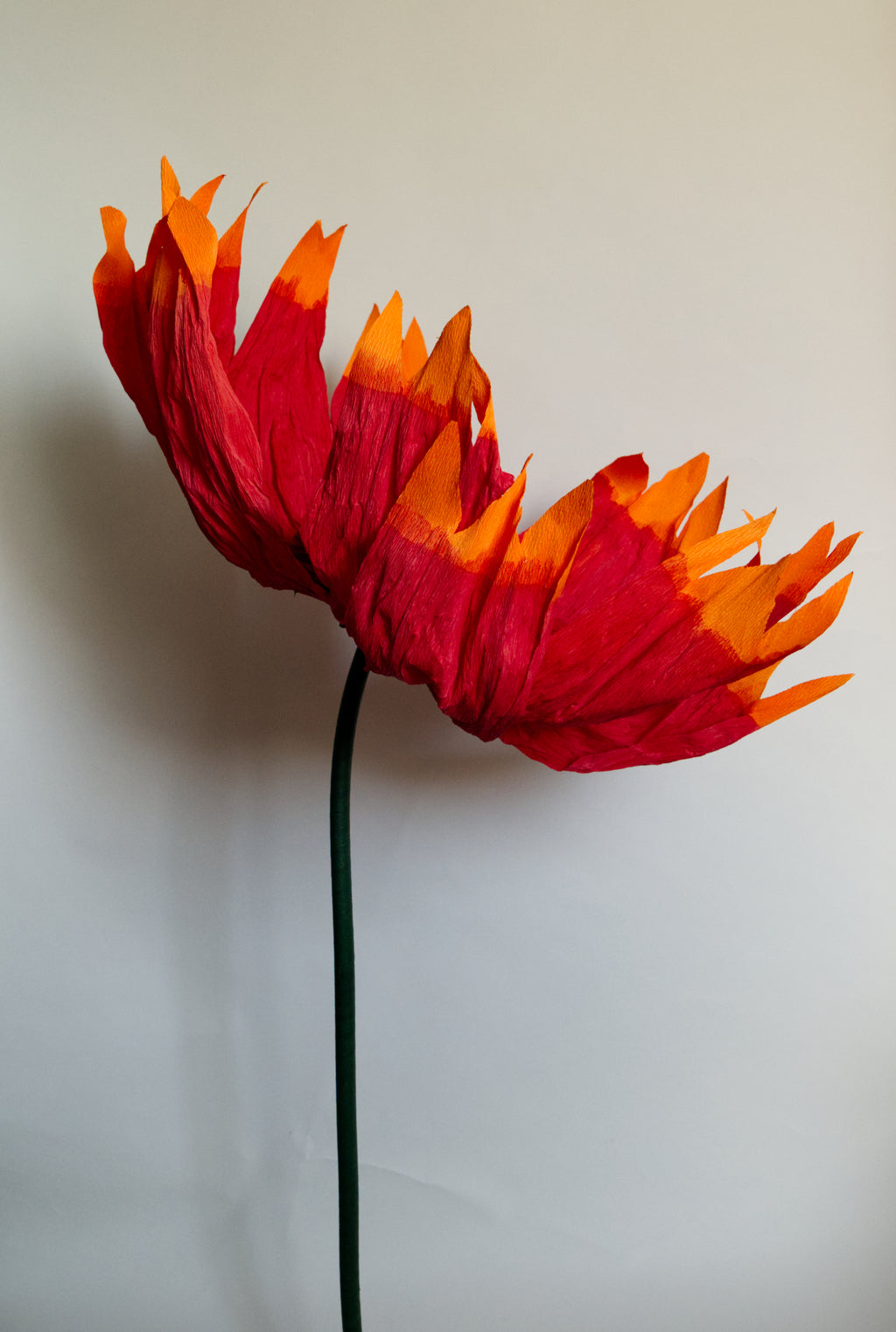 Firewheel (Large)
