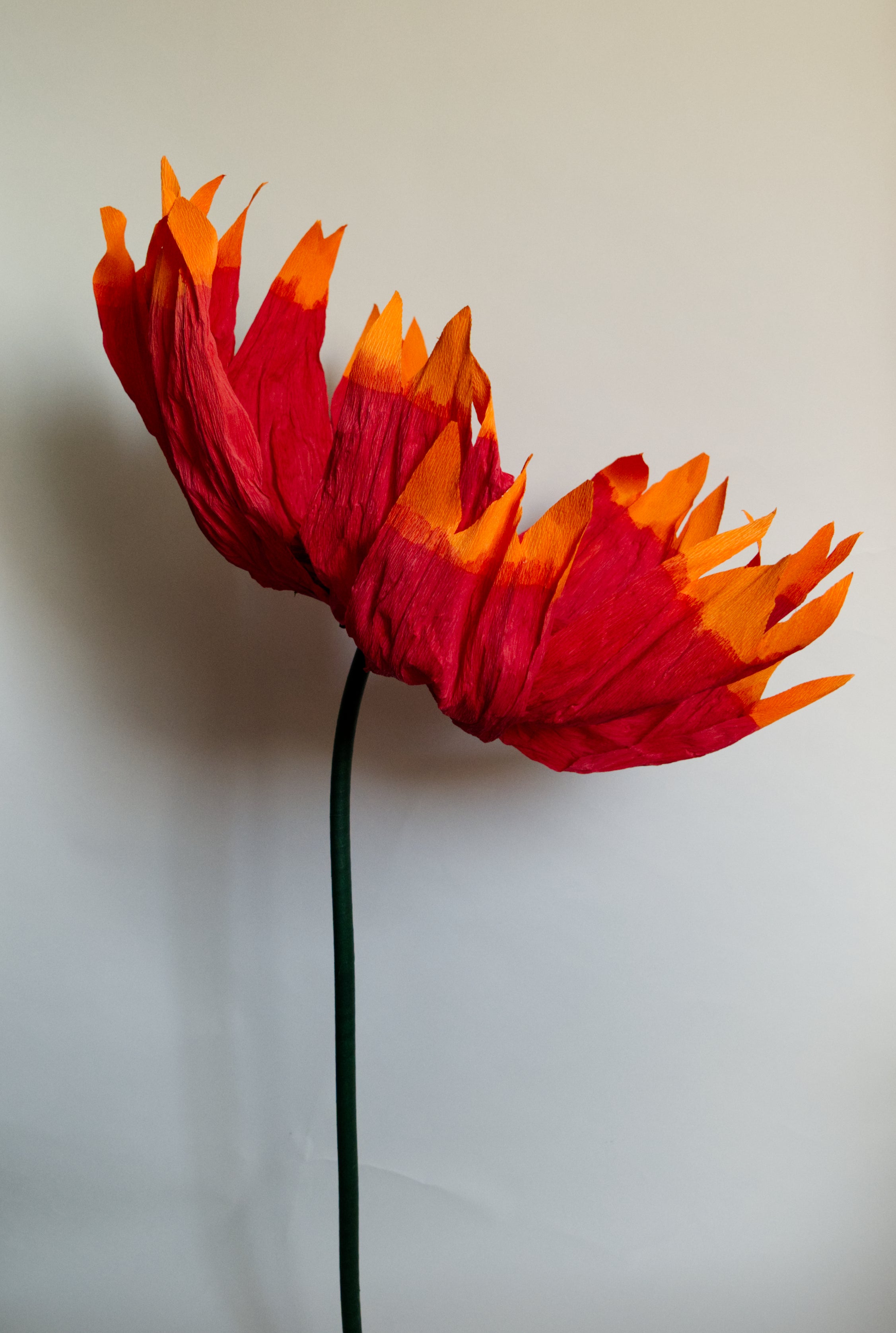 Firewheel (Large)