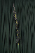 Black Delphinium RENTAL