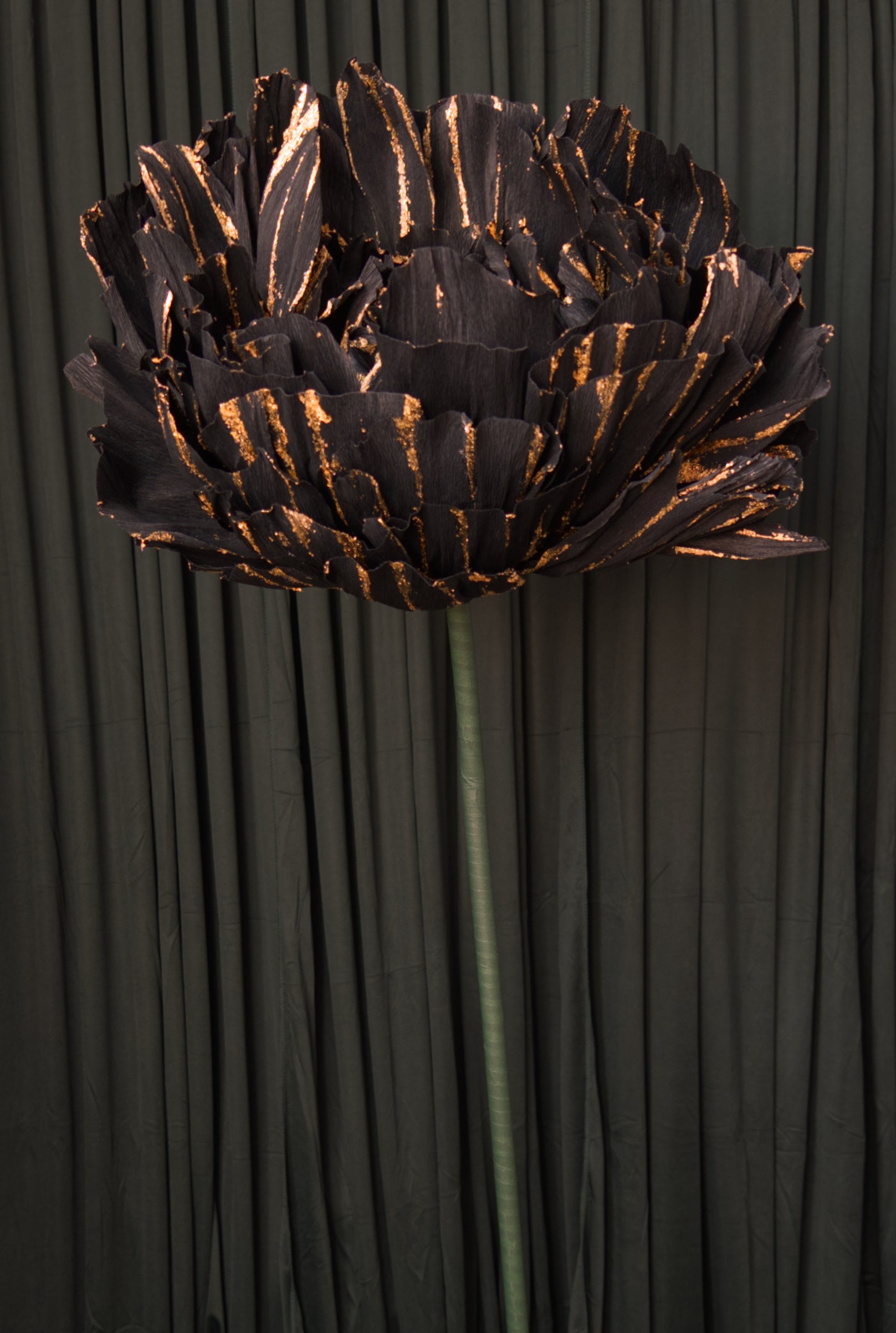 Black and Gold Double Peony RENTAL