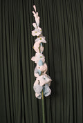 Blue Delphinium RENTAL