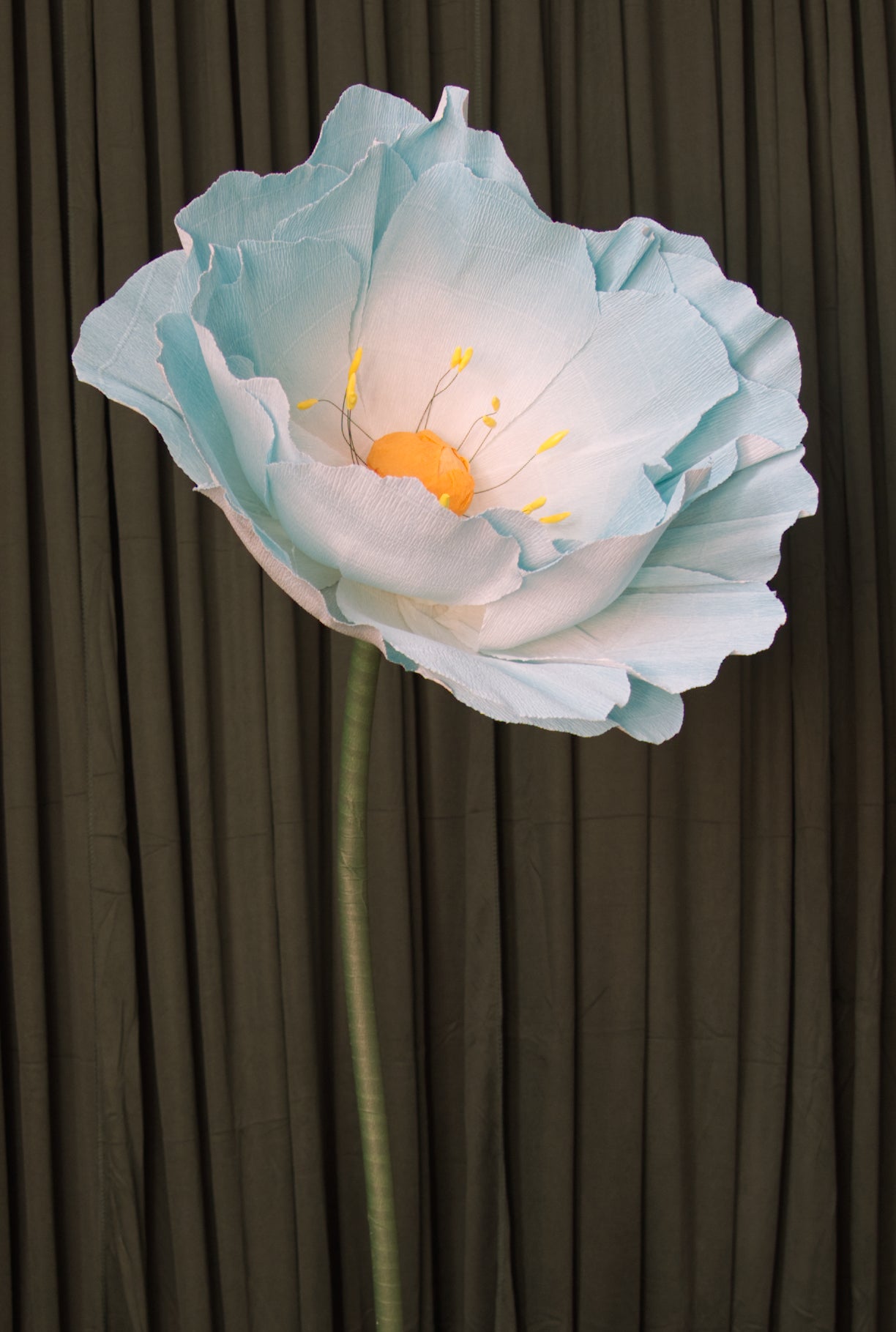 Blue Ombre Lotus RENTAL