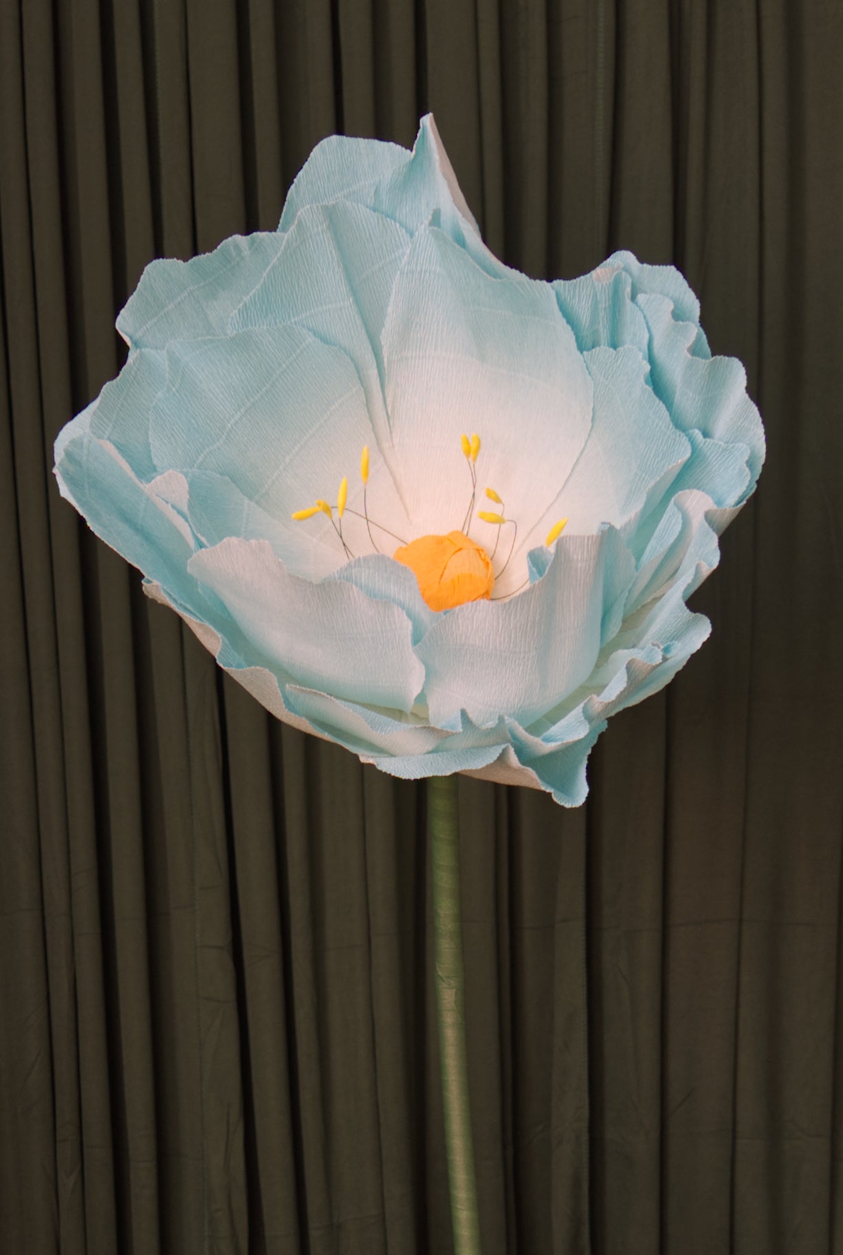 Blue Ombre Lotus RENTAL