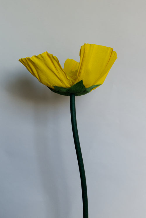 Giant Bright Yellow Buttercup crepe paper flower