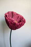 Burgundy Tree Peony