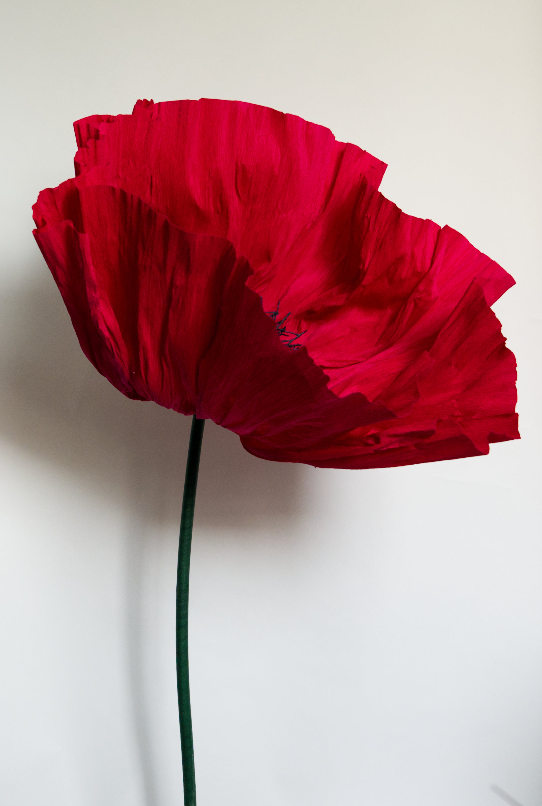 Classic Red Poppy (Black Center)