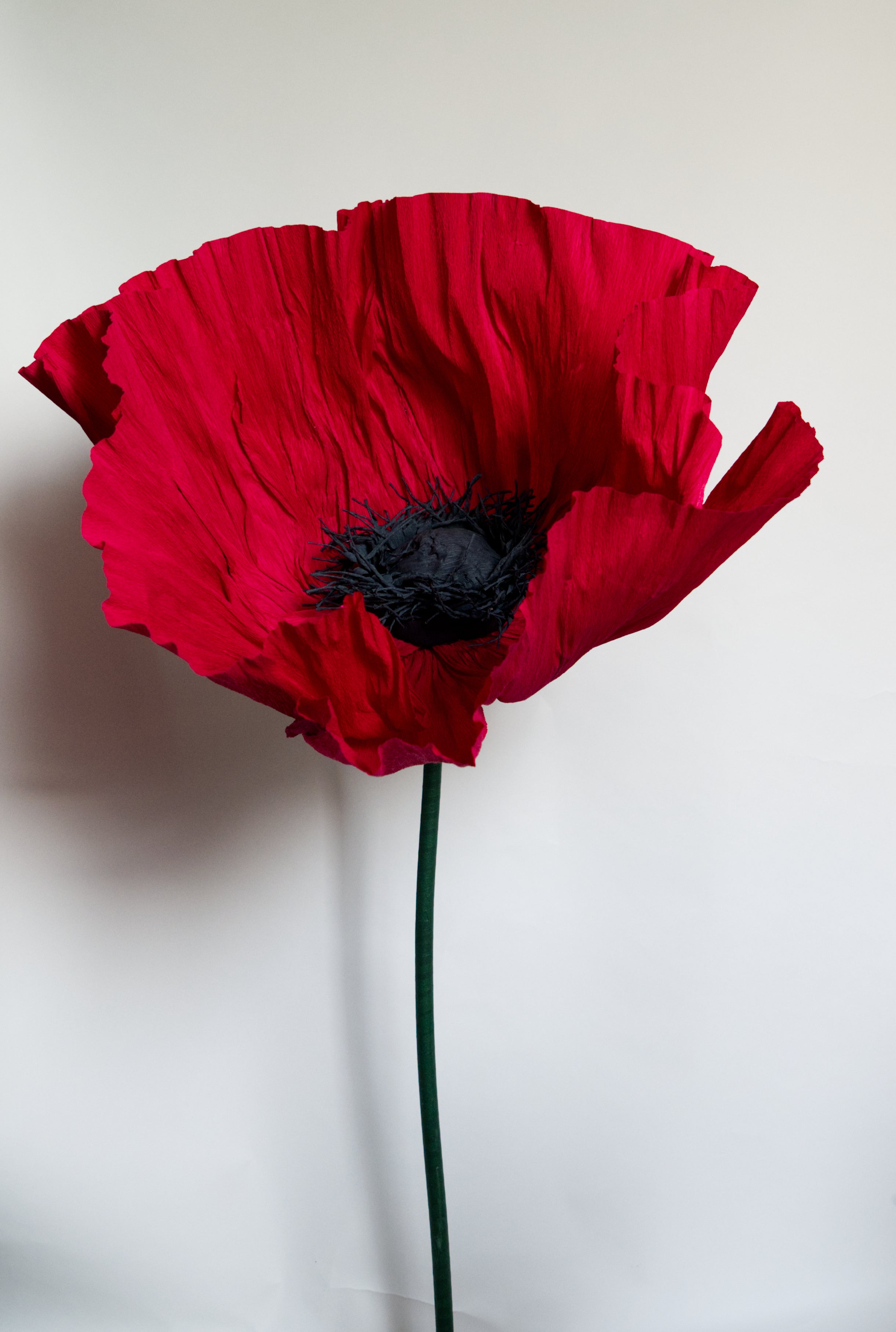 Classic Red Poppy (Black Center)
