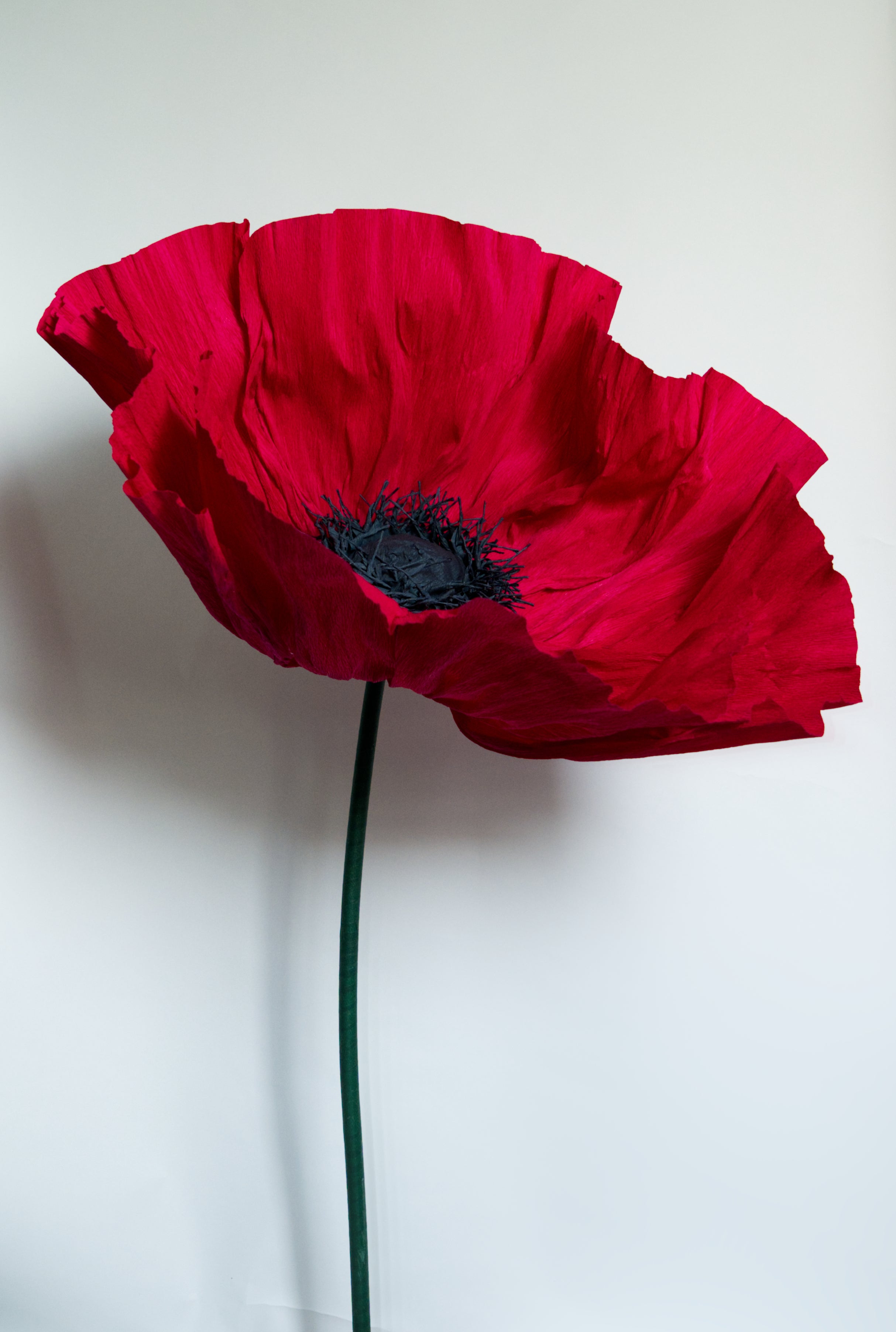 Classic Red Poppy (Black Center)