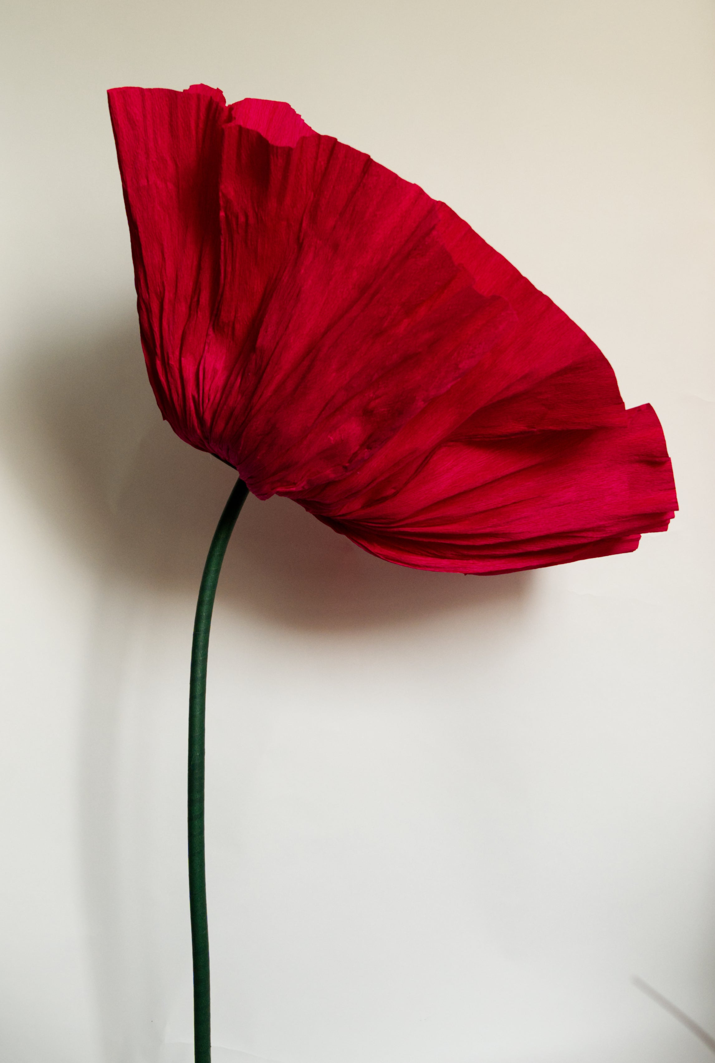 Classic Red Poppy (Black Center)