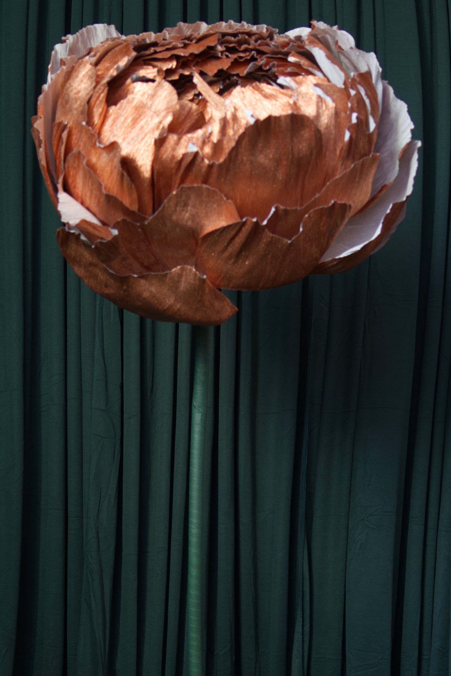 Copper Double Peony RENTAL