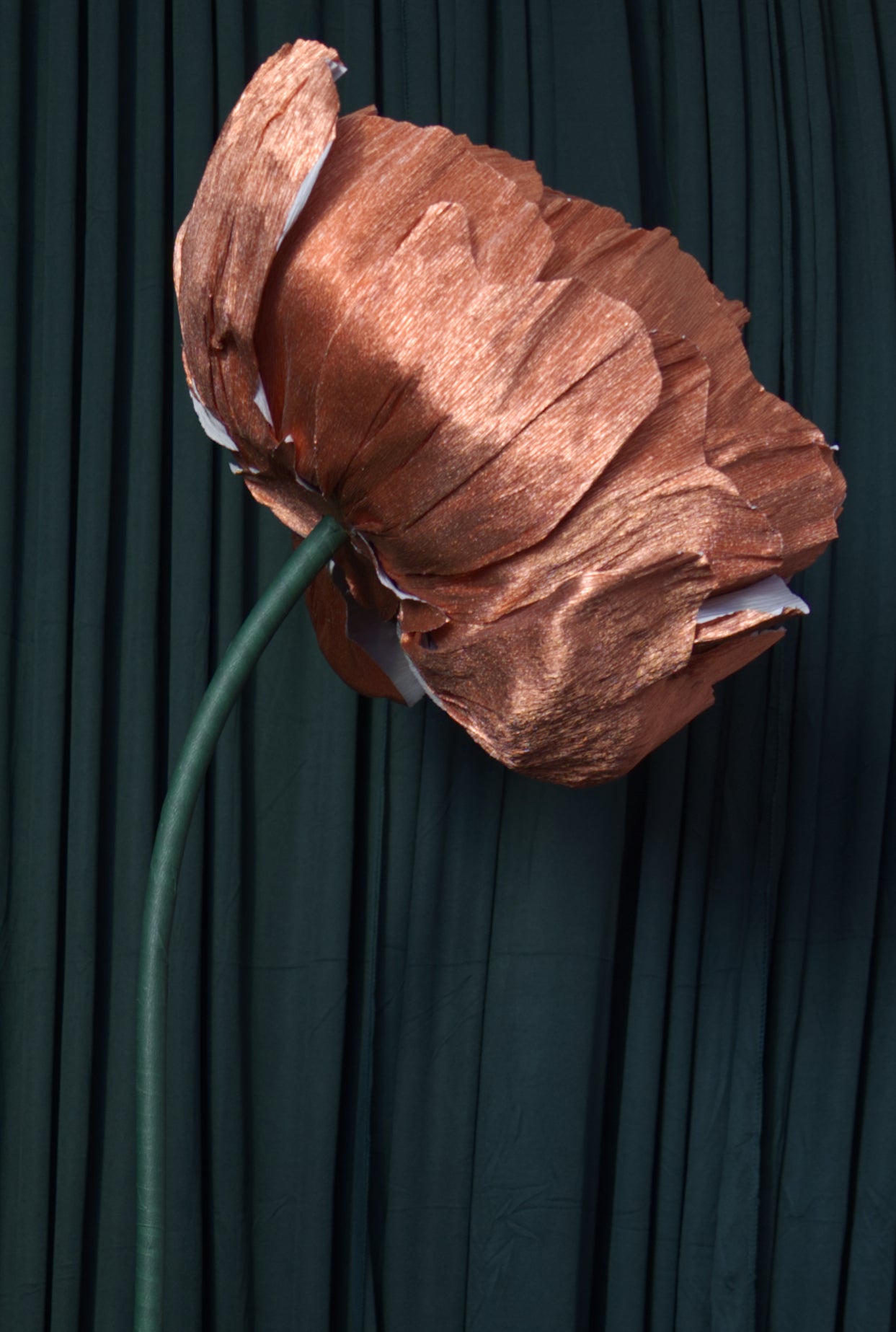 Copper Double Peony RENTAL