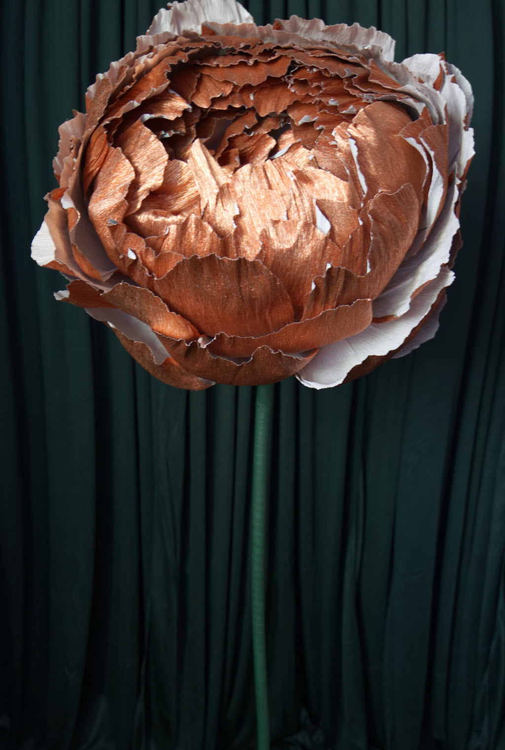 Copper Double Peony RENTAL