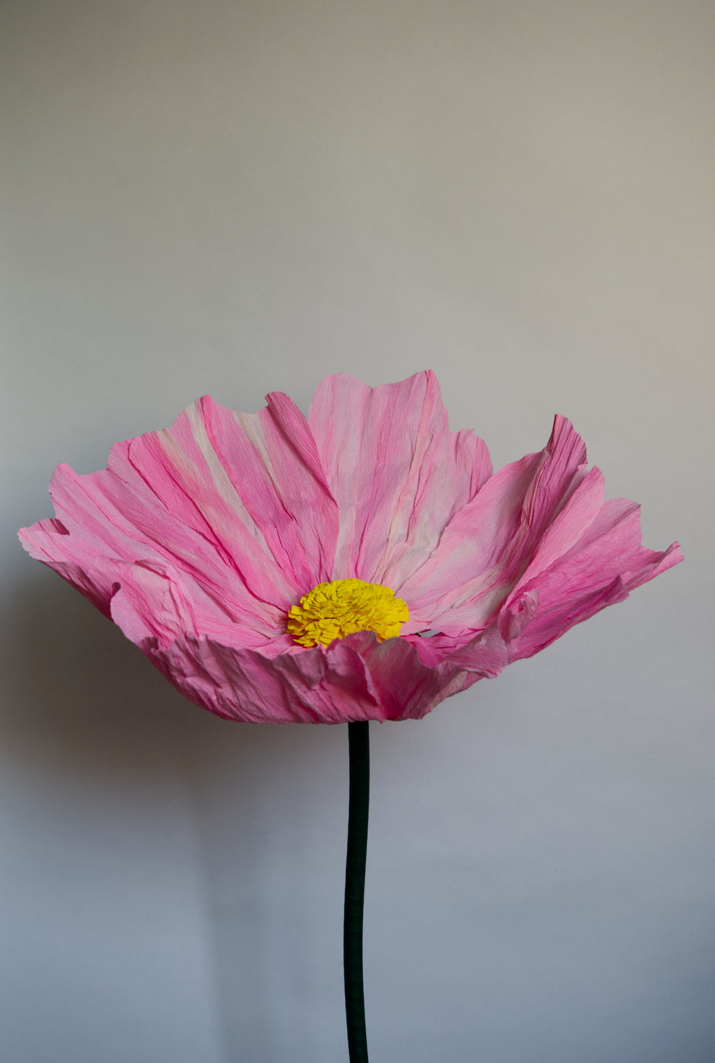 Cosmo