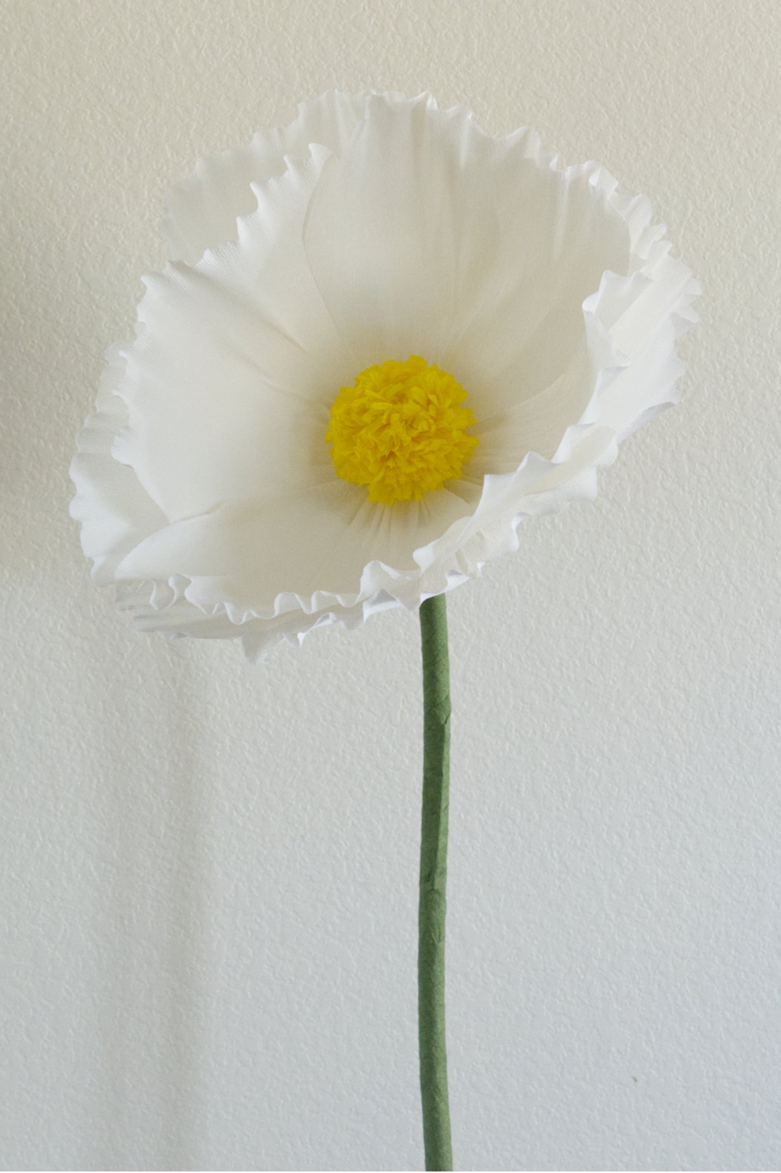 Buttercup Custom to Own