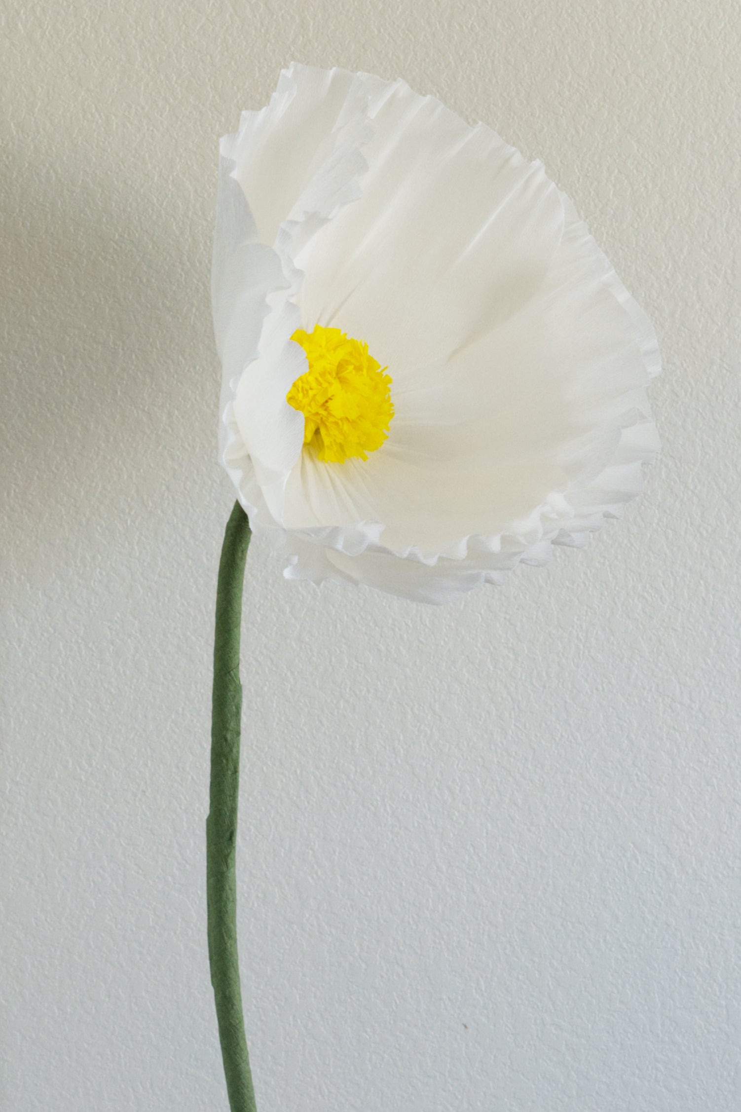 Buttercup Custom to Own