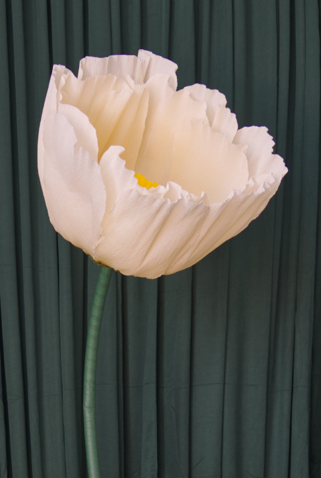 Buttercup Custom to Own