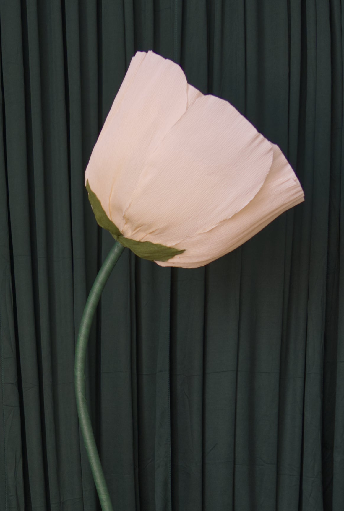 Buttercup Custom to Own