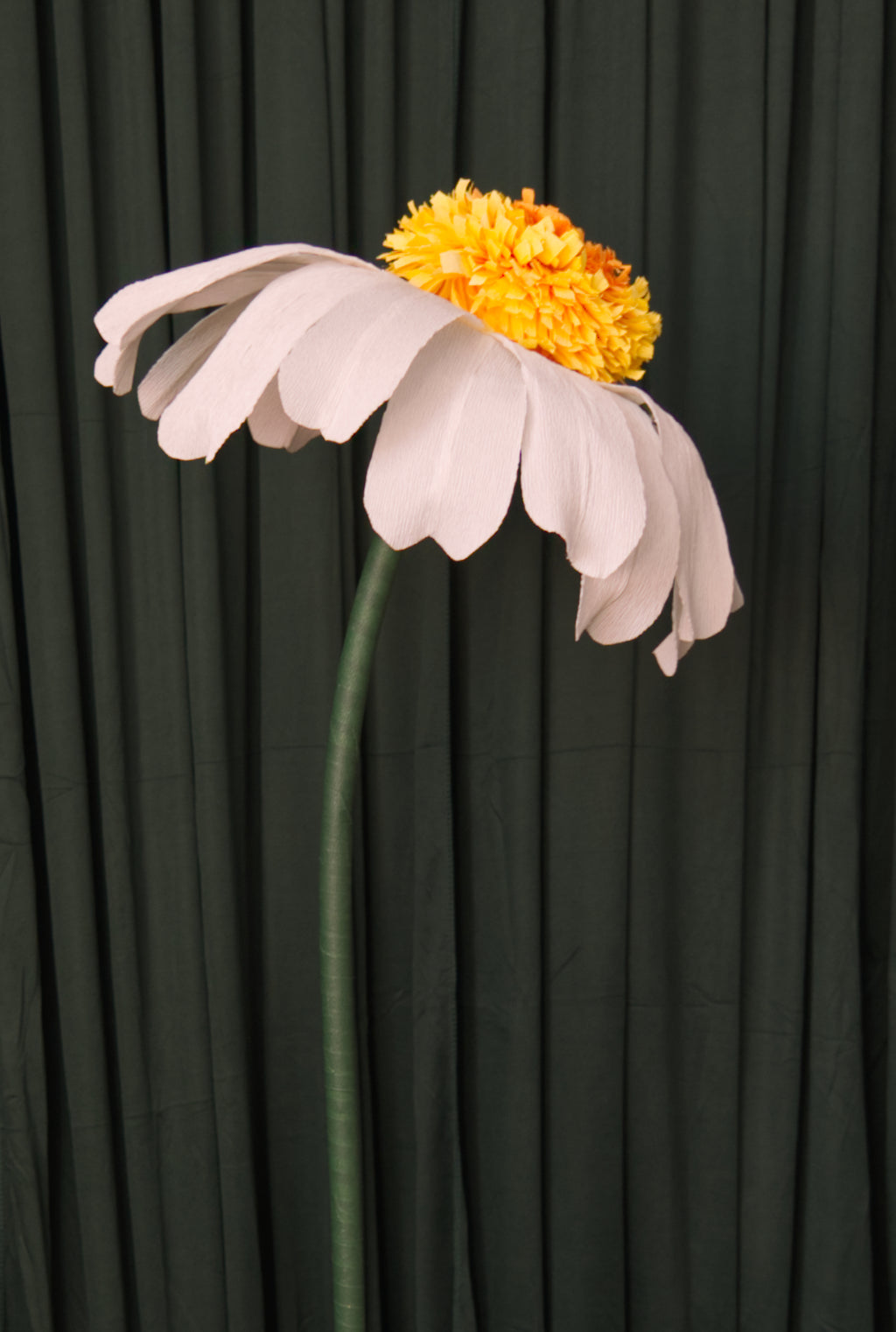 Small Daisy (Style Two, Small) RENTAL