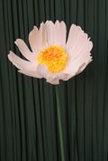 Daisy (Style One, Small) RENTAL