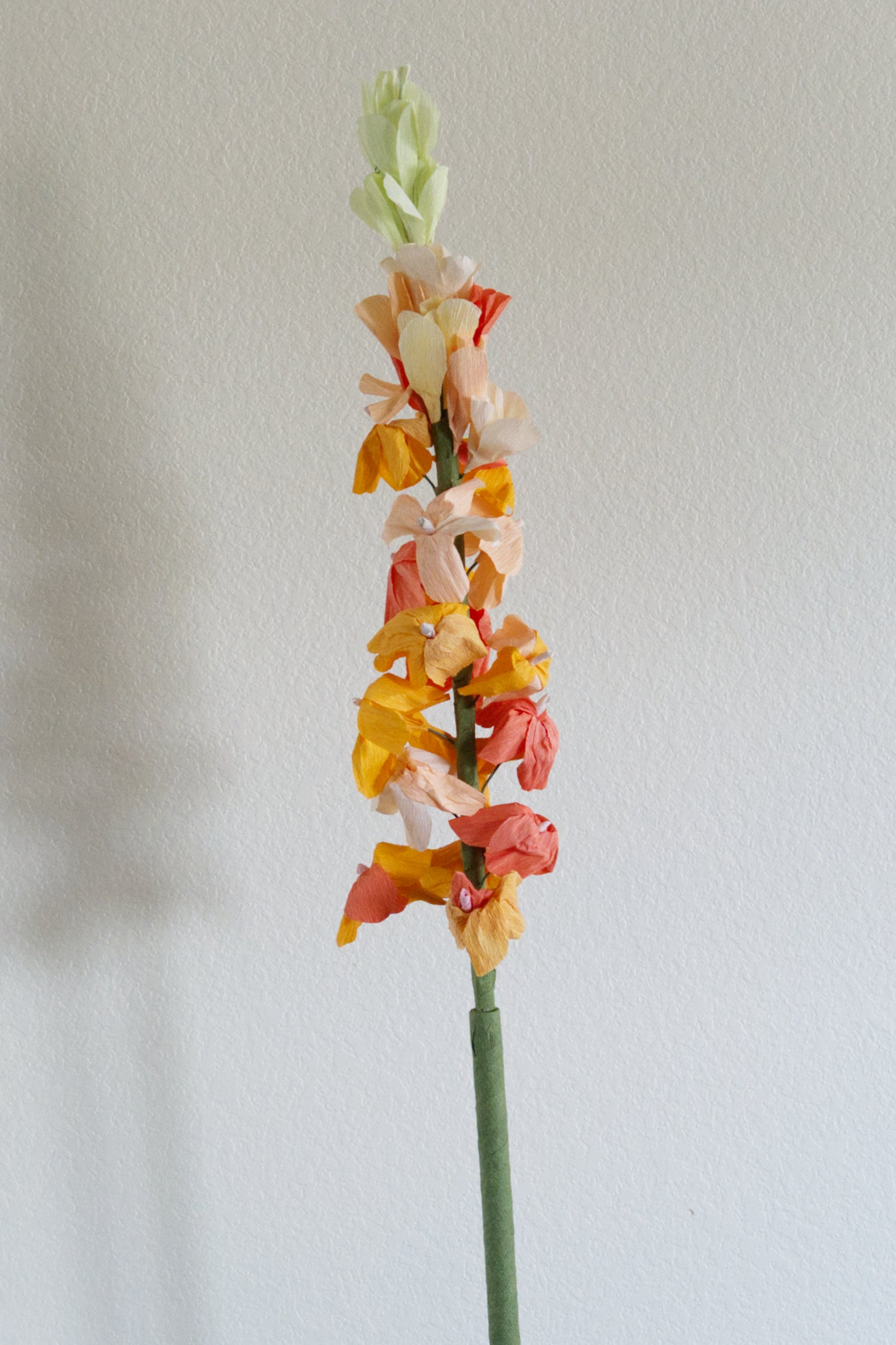 Delphinium Custom to Own