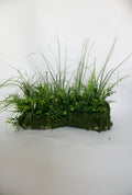 Mini Meadows