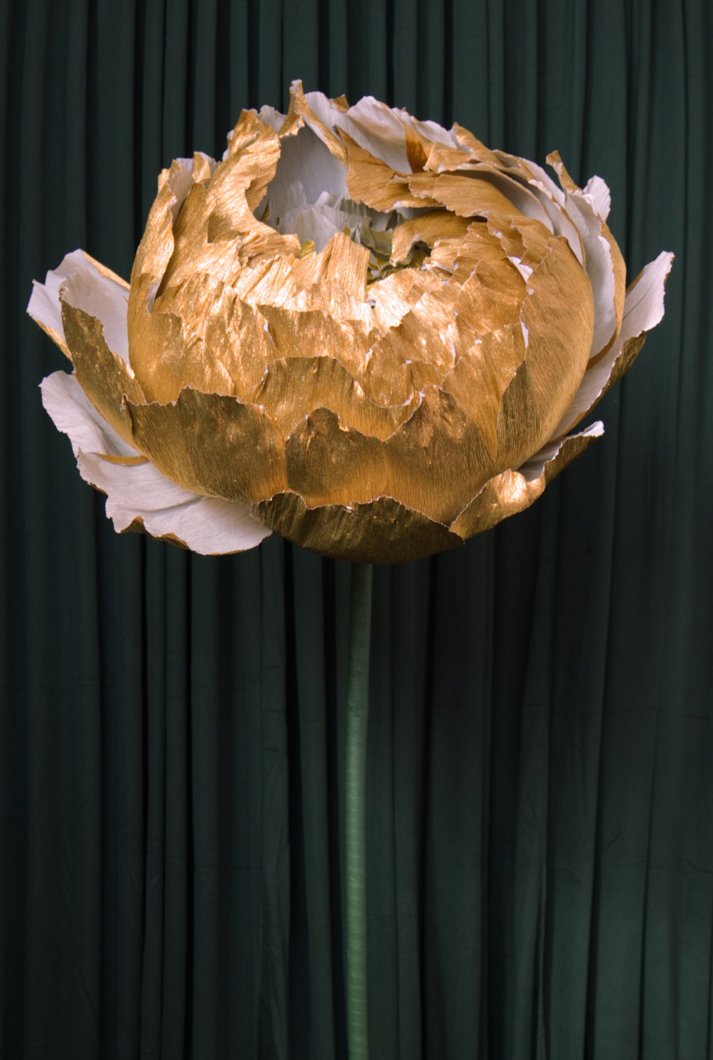 Gold Double Peony RENTAL