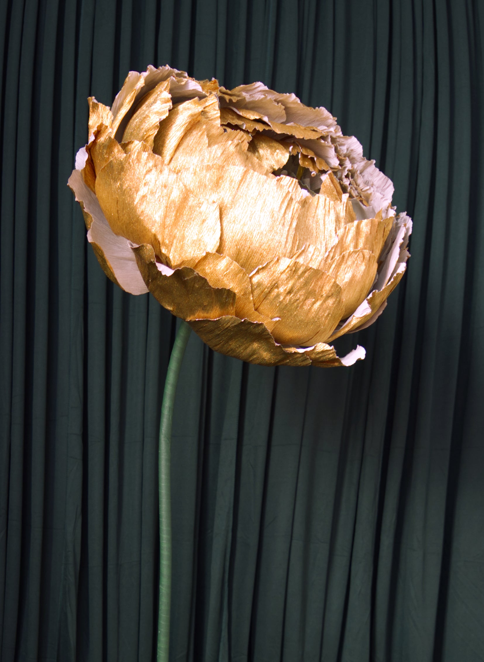 Gold Double Peony RENTAL