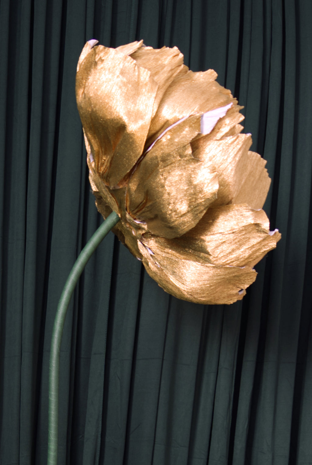 Gold Double Peony RENTAL