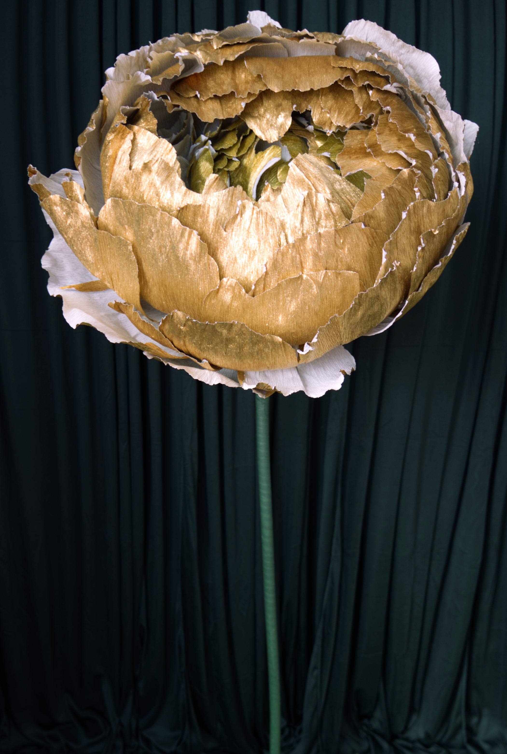 Gold Double Peony RENTAL