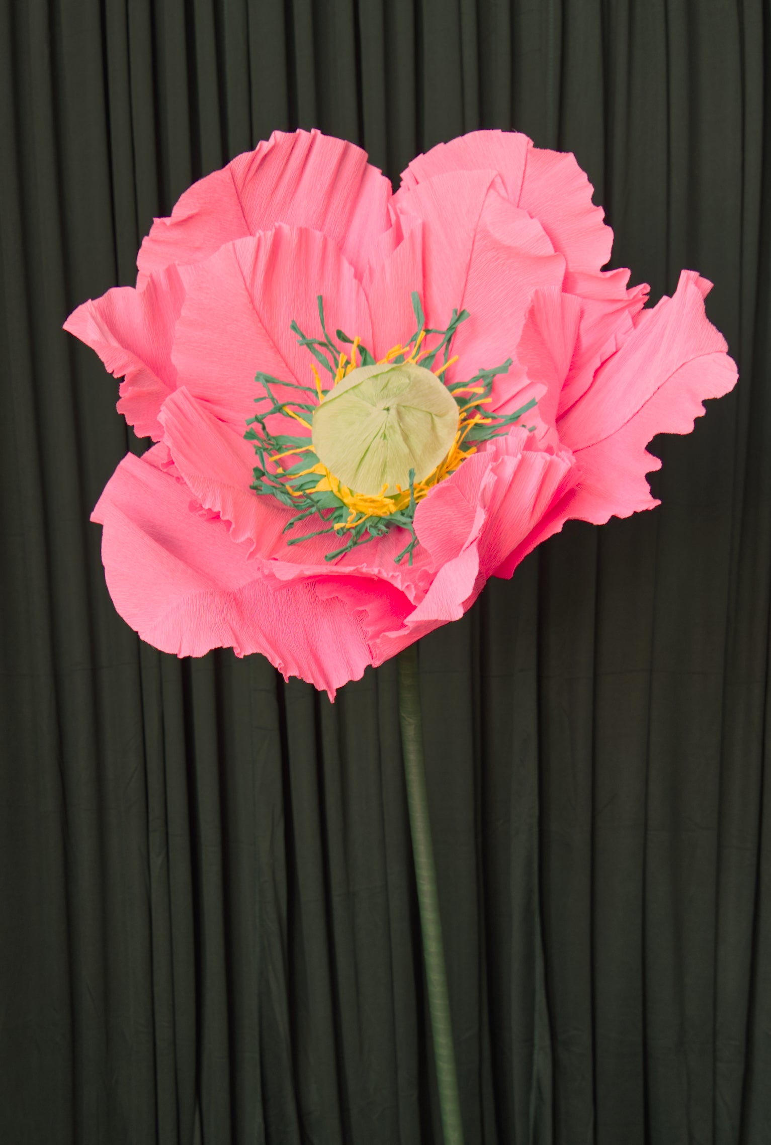 Hot Pink Poppy (Style 1, Small) RENTAL