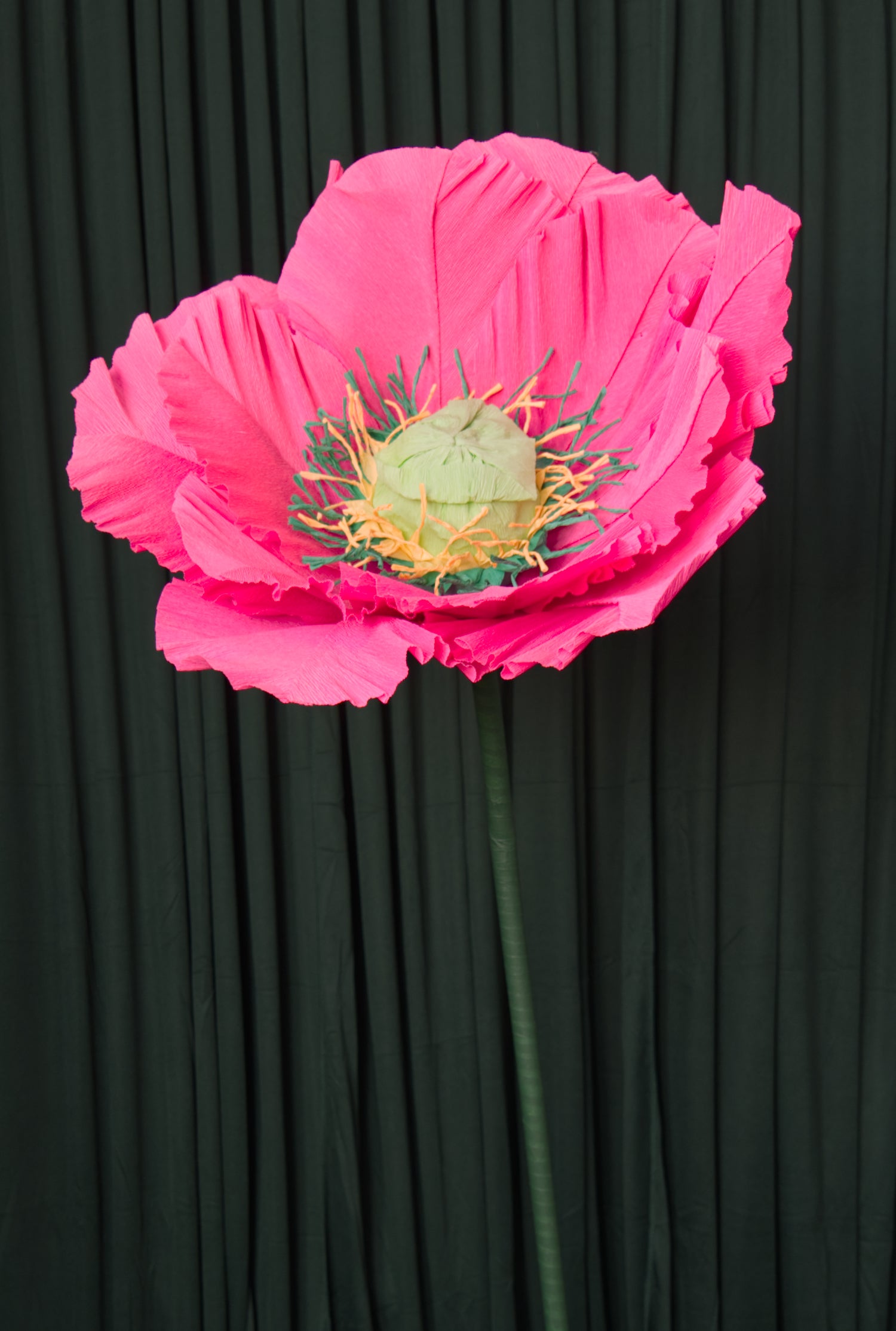 Hot Pink Poppy (Style One, Small)) RENTAL