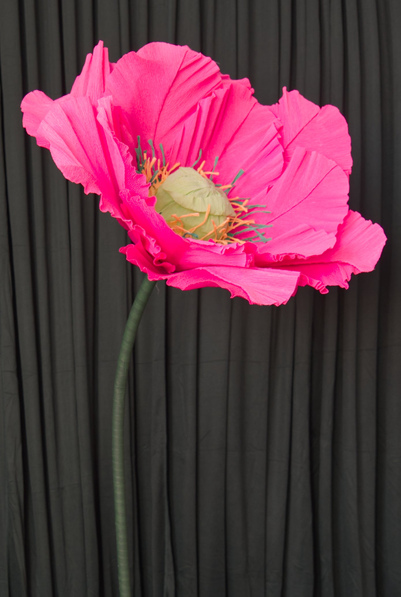 Hot Pink Poppy (Style One, Small)) RENTAL