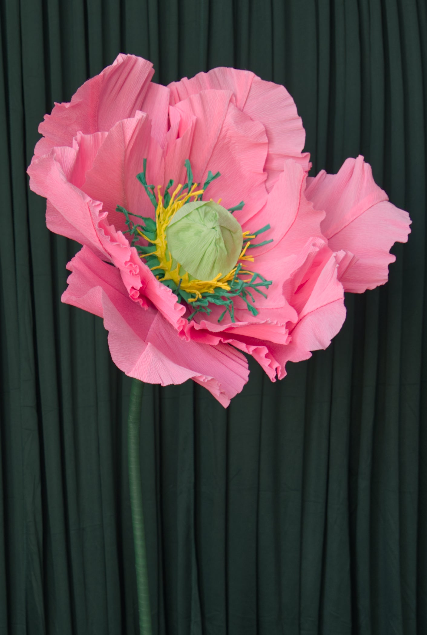 Hot Pink Poppy (Style 1, Small) RENTAL