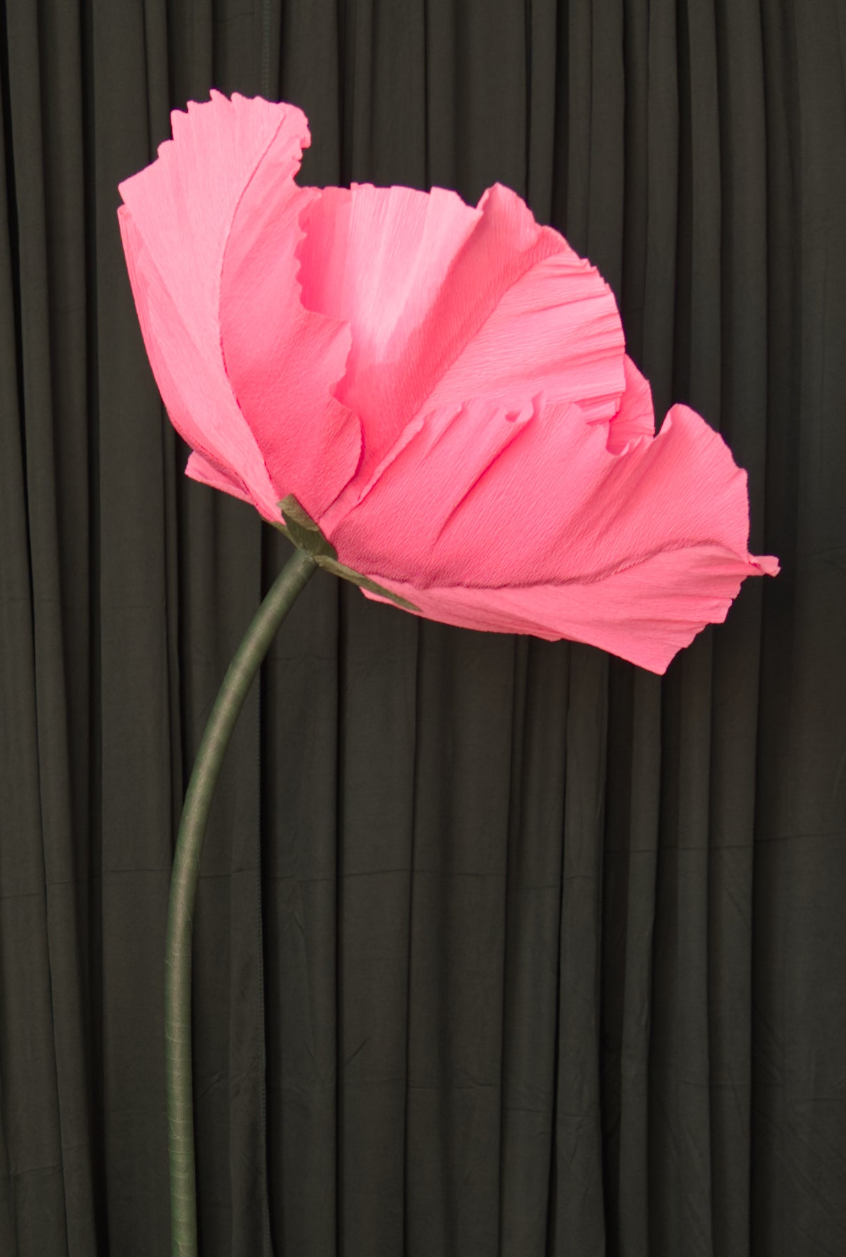Hot Pink Poppy (Style 1, Small) RENTAL