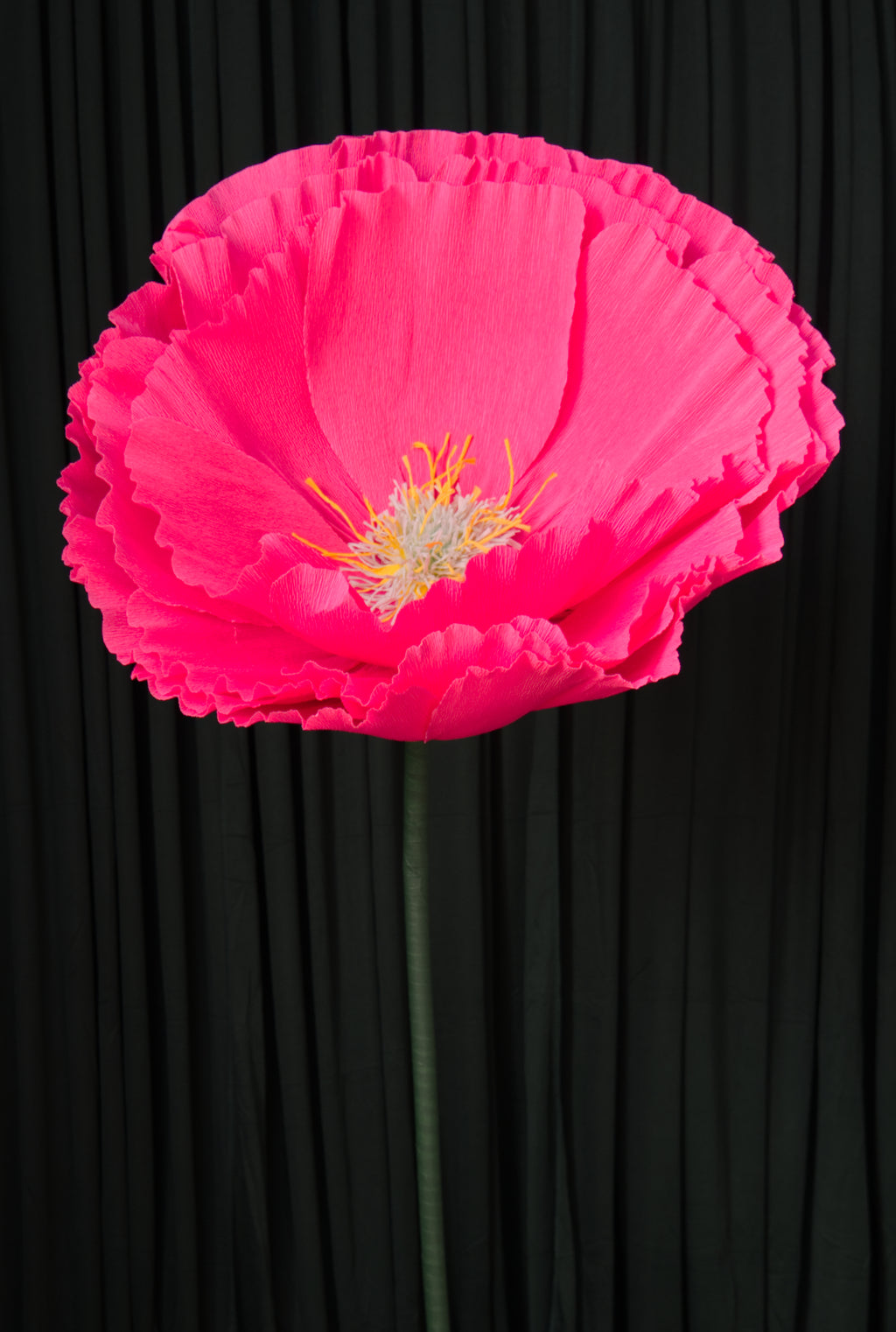 Hot Pink Tree Peony RENTAL