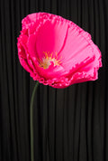 Hot Pink Tree Peony RENTAL