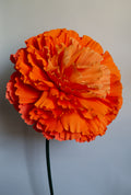 Marigold