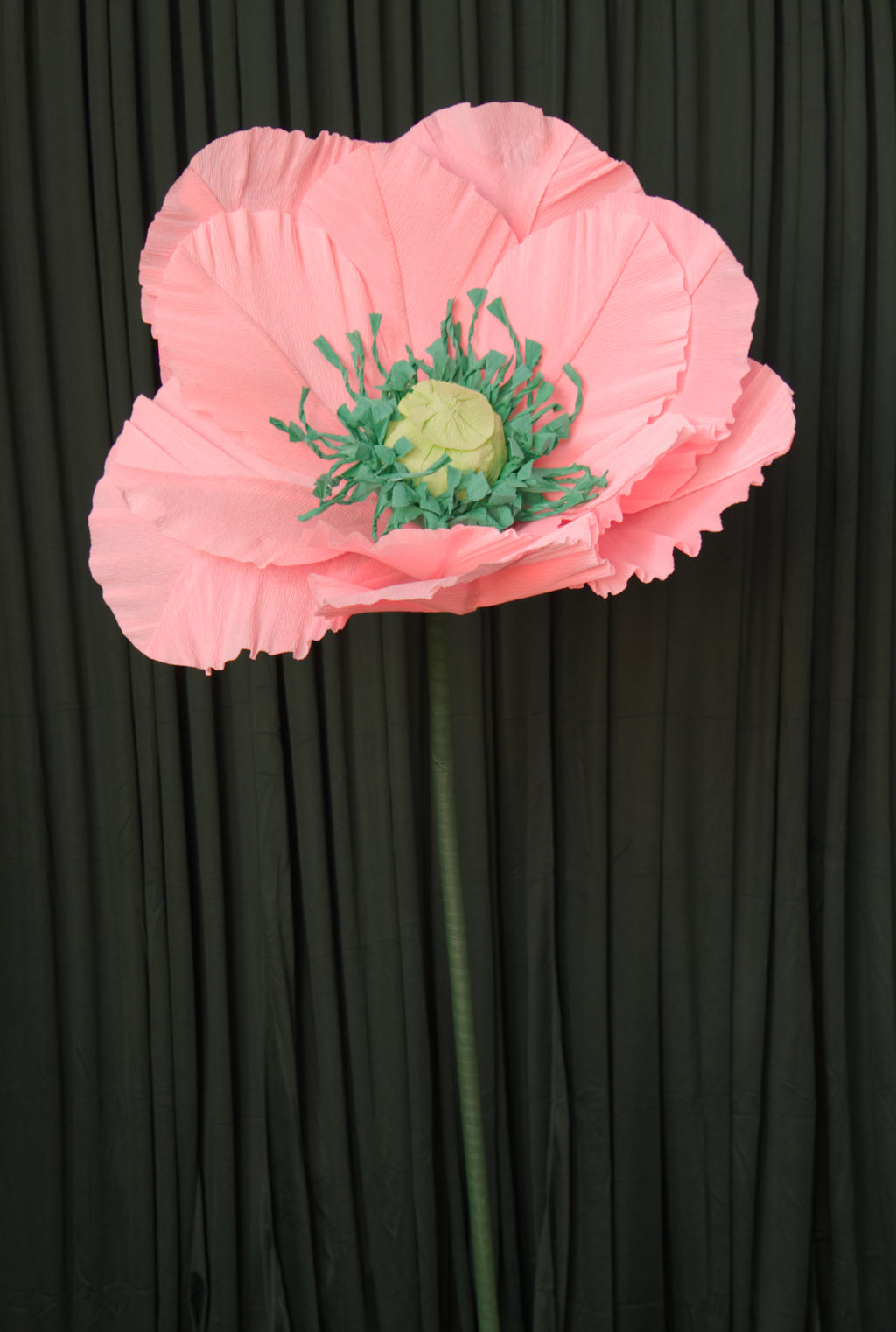 Pink Poppy (Style 1, Small) RENTAL